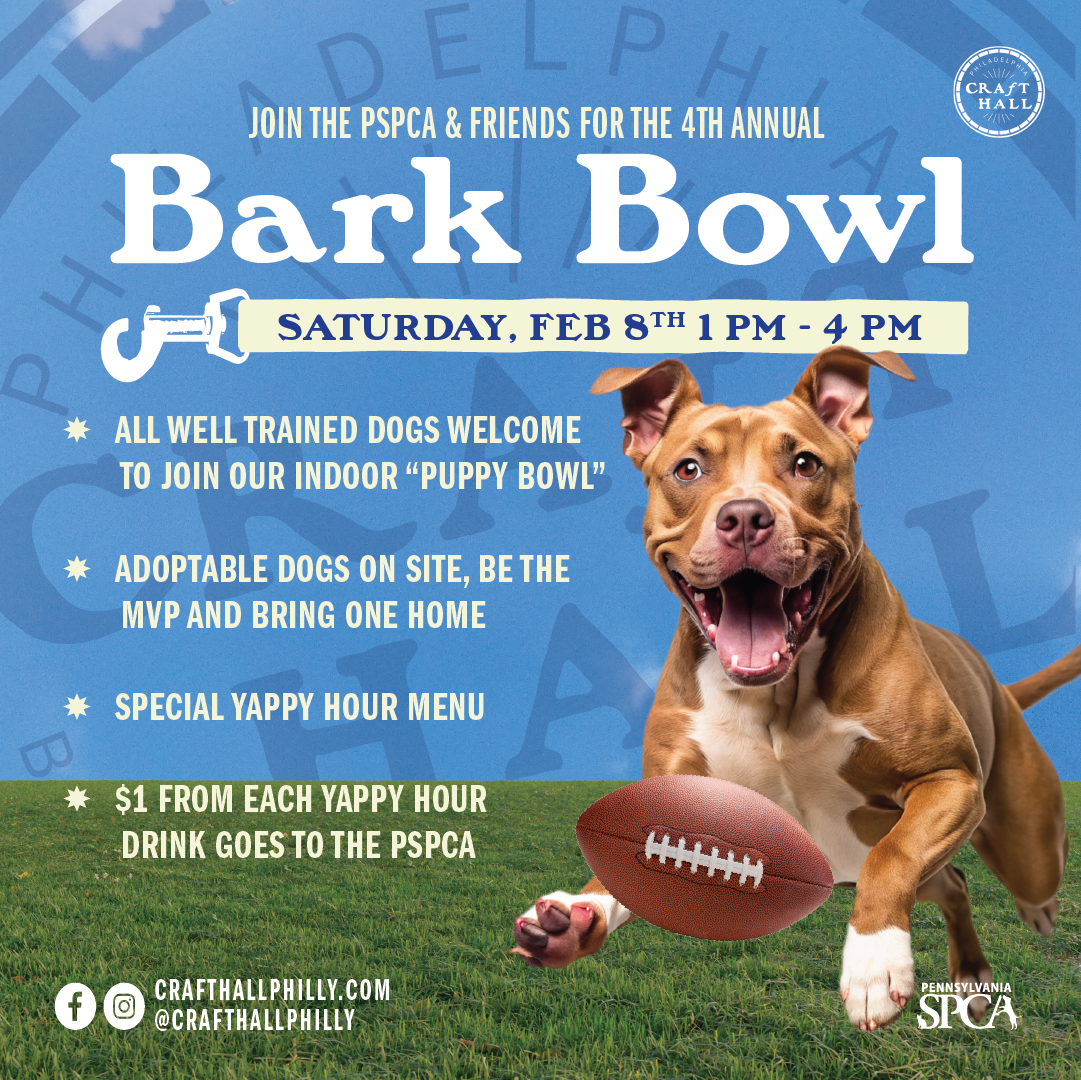 bark bowl