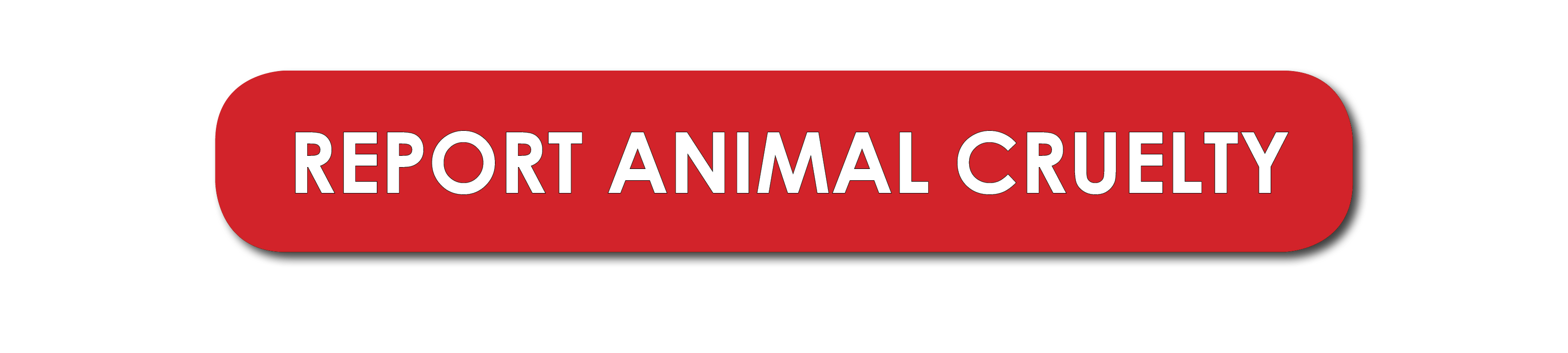 Click here to report animal cruelty