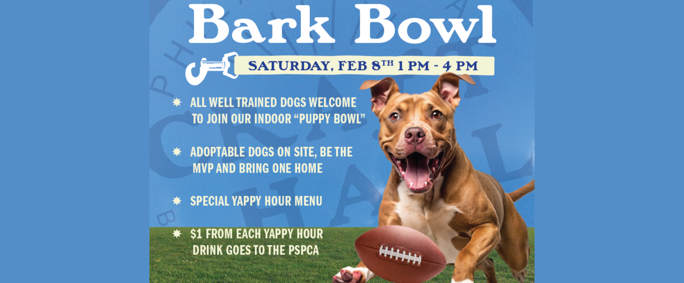 bark bowl