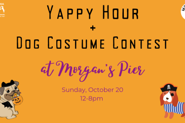 yappy hour