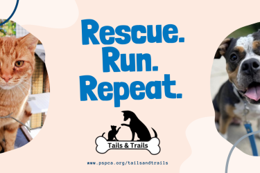 Rescue. Run. Repeat. 