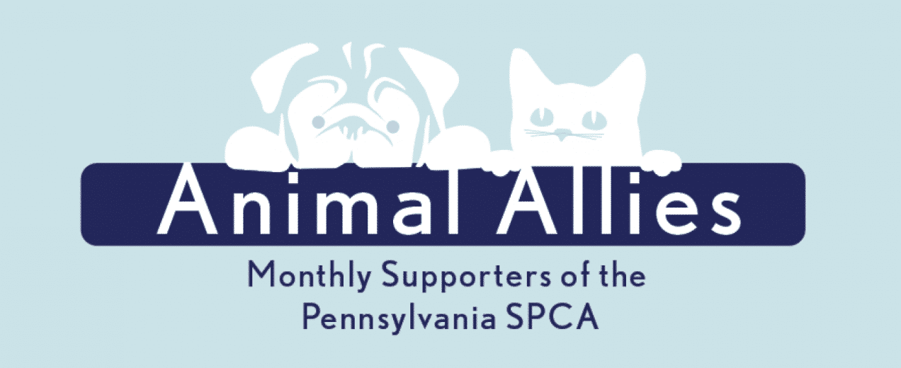 animal allies