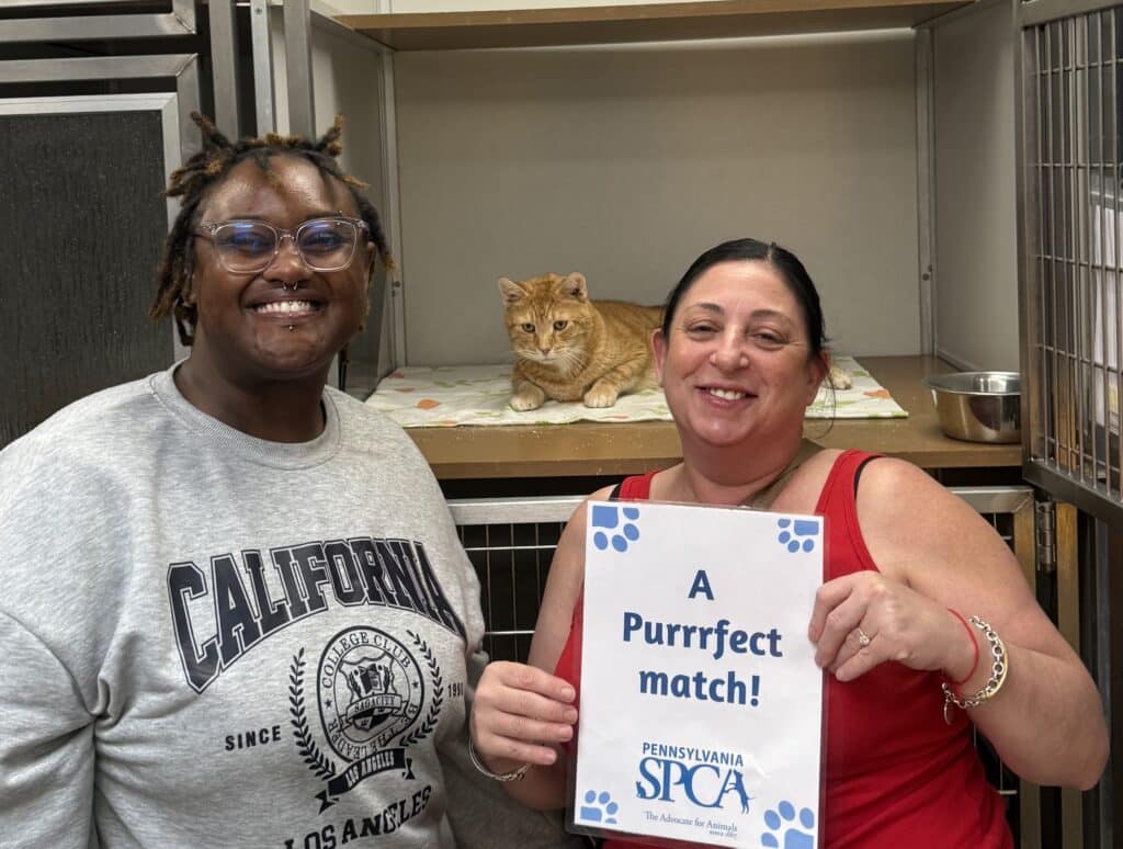 Two smiling people holding a 'Purrrfect Match' PSPCA sign next to an orange tabby cat in a shelter kennel — adoption day