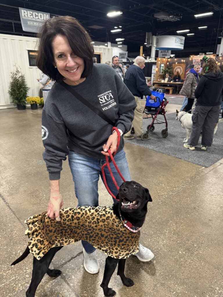 PSPCA staff member in branded hoodie holding a black dog in a leopard print costume at an outdoor event