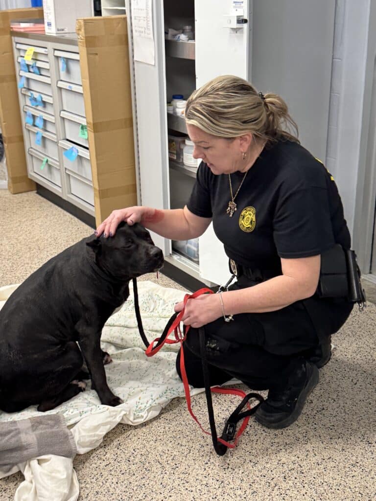 PSPCA humane law enforcement officer comforting a rescued dog