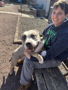 Young boy smiling on a bench with a cream and white pit bull — adoption day happy moment outdoors