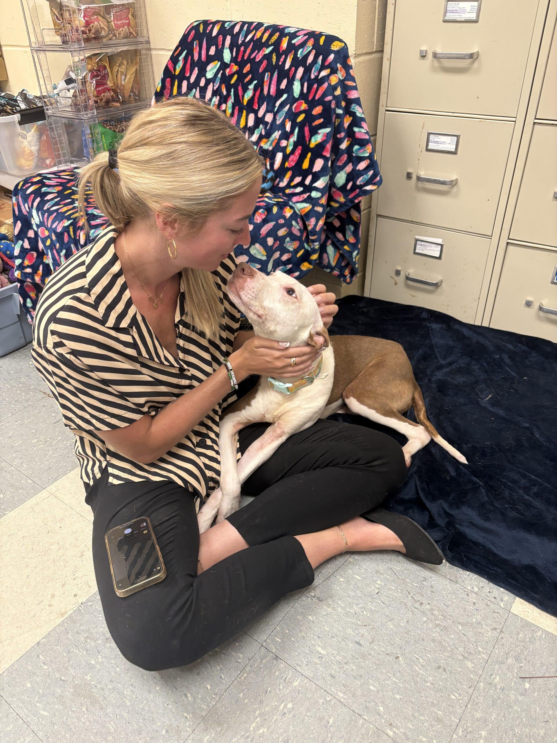 Blonde staff member sitting on the floor cradling a white and brown pit bull puppy in her arms by filing cabinets