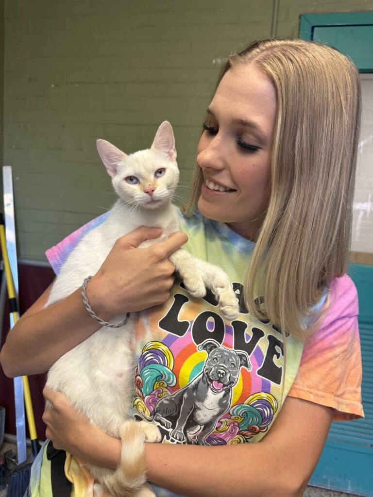 Joven rubia con una camiseta colorida con la palabra «LOVE» que sostiene a un gatito blanco de ojos azules al aire libre en el refugio — socialización felina