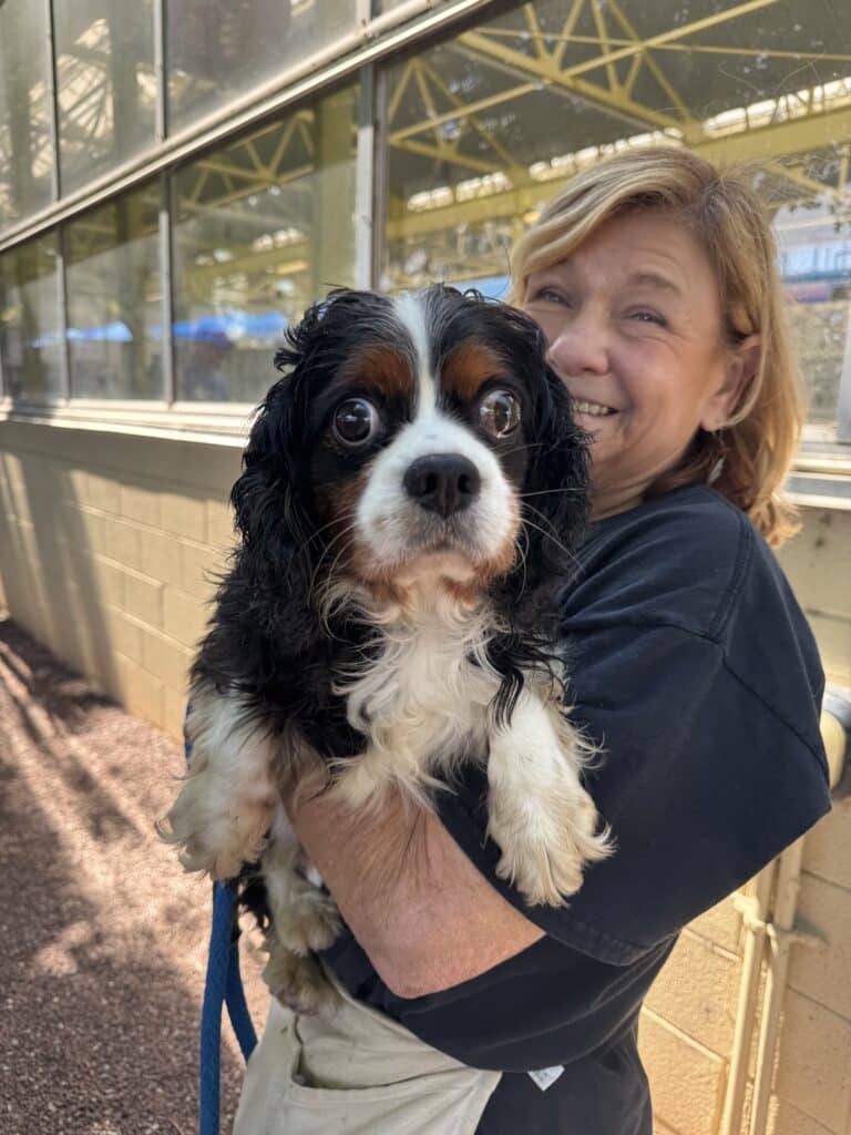 Smiling woman holding a Cavalier King Charles Spaniel inside the shelter, glass building structure visible