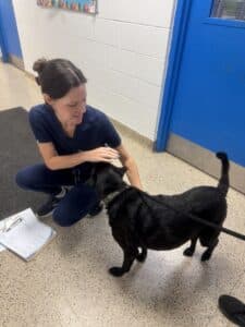 El mismo empleado abraza ahora al perro negro, que se le echa encima con cariño: un momento de conexión en el refugio