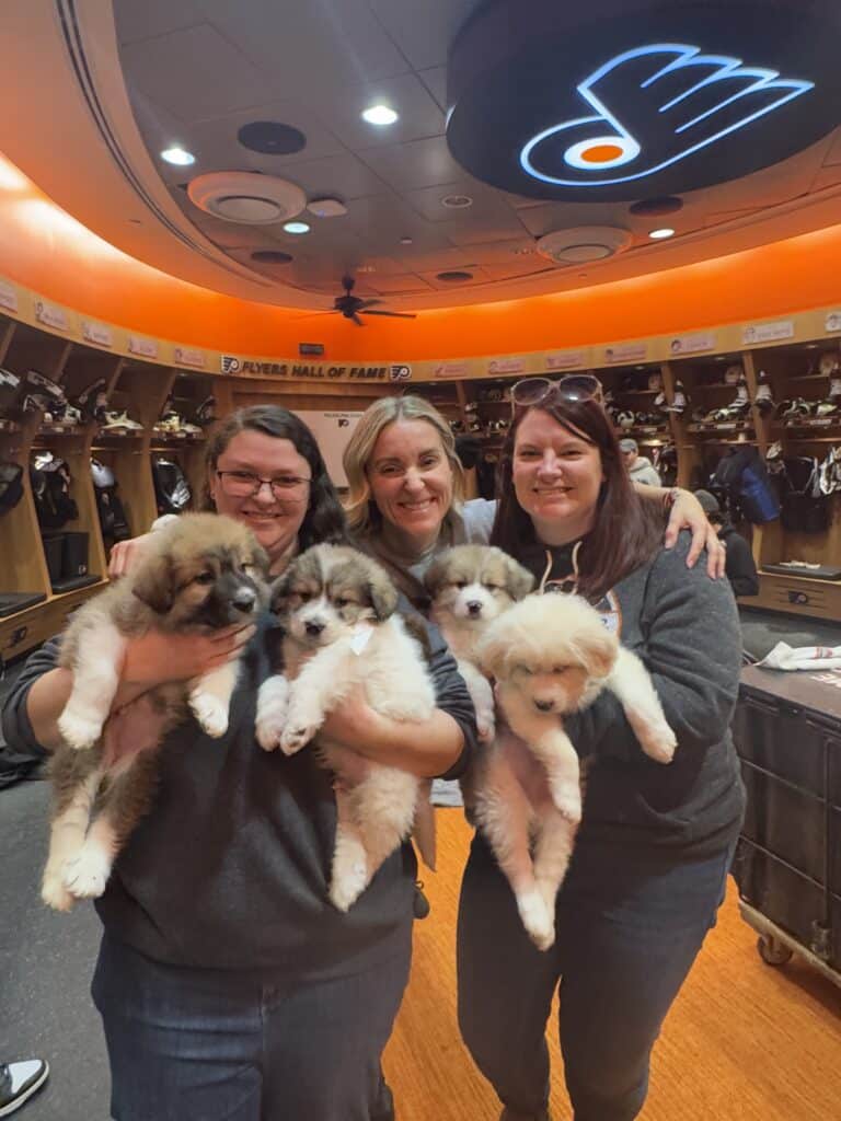 Two PSPCA staff members holding multiple husky/malamute puppies at Flyers venue with Philadelphia Flyers logo visible