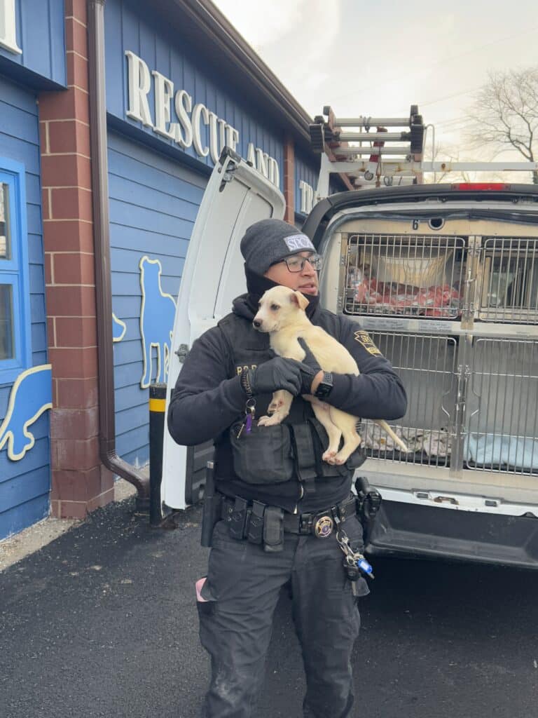 Un agente de la PSPCA encargado de velar por el cumplimiento de la legislación sobre bienestar animal sostiene a un cachorro blanco frente al edificio «Rescue And», junto a una furgoneta de transporte con