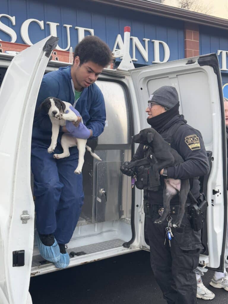 Staff member in blue scrubs carrying a white and black puppy from the back of a rescue van, officer watching — 'Rescue A