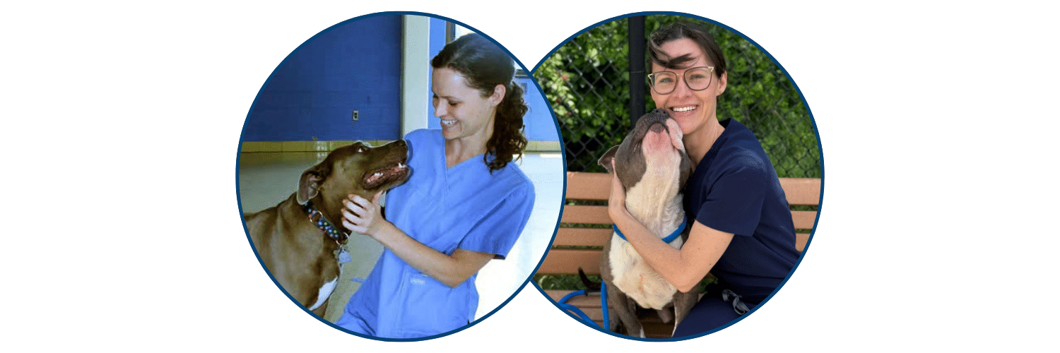 Before and after photos of Dr Lisa with dogs