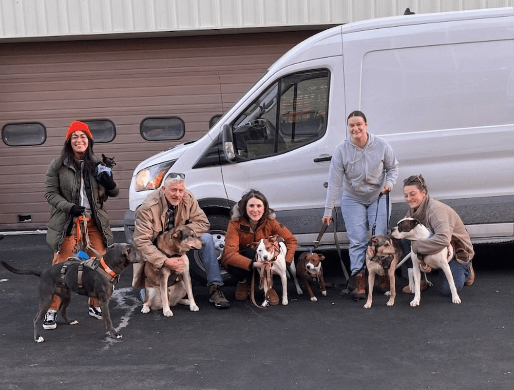 A group photo of five people with seven dogs
