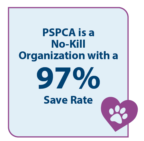 PSPCA is a no-kill organization with a 97% save rate