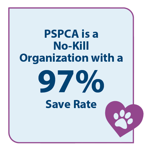 PSPCA is a no-kill organization with a 97% save rate